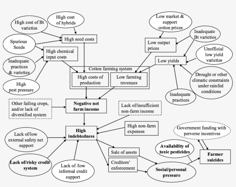 Bt Cotton And Farmer Suicides In Central India - Farmers' Suicides In India, transparent png download