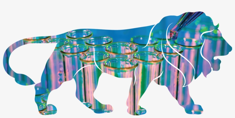 Wake Up Call For Gm Science In India - Make In India Textiles, transparent png download