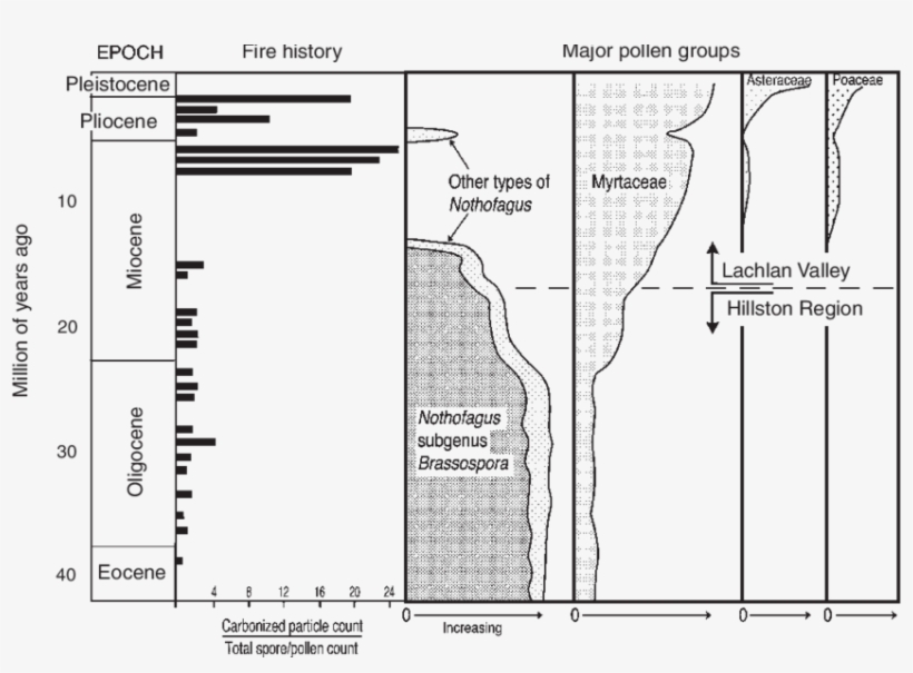 Carbonised Particle Content Reflects Changes In Fire - Diagram, transparent png download