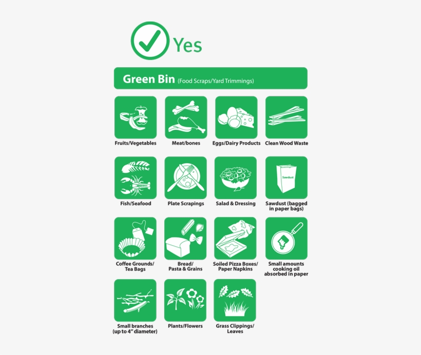 Green Bin Yes - Recycling Bin Yes No, transparent png download