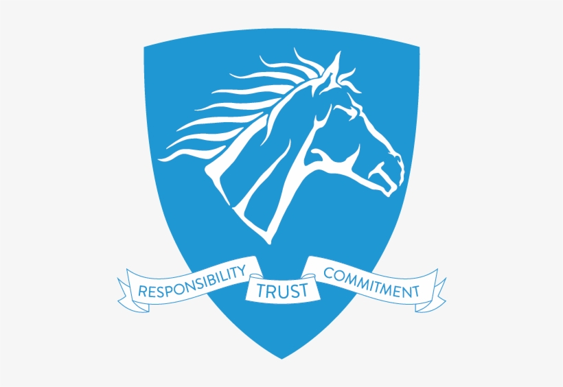 Values - Stallion Capital Management, transparent png download