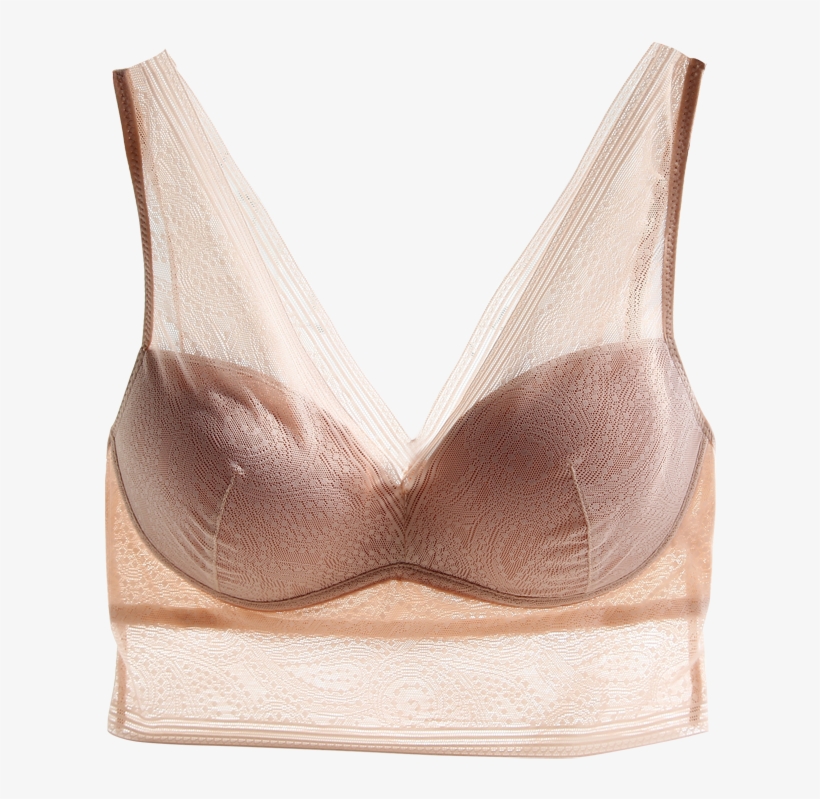 Lightbox Moreview - Brassiere, transparent png download