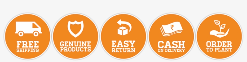 Usp Icon Adventure - Our Values, transparent png download