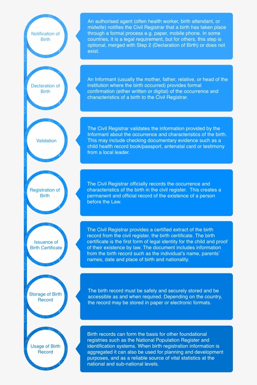 The Process - Portable Network Graphics, transparent png download