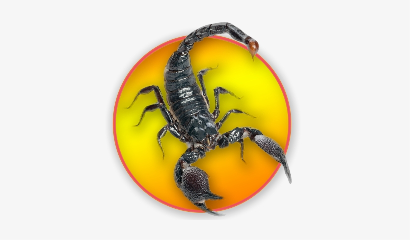 Liquid, transparent png download