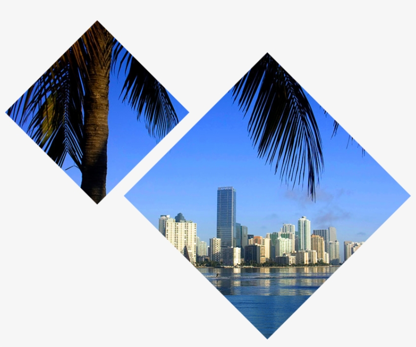 Visit Nmi City - Miami, transparent png download