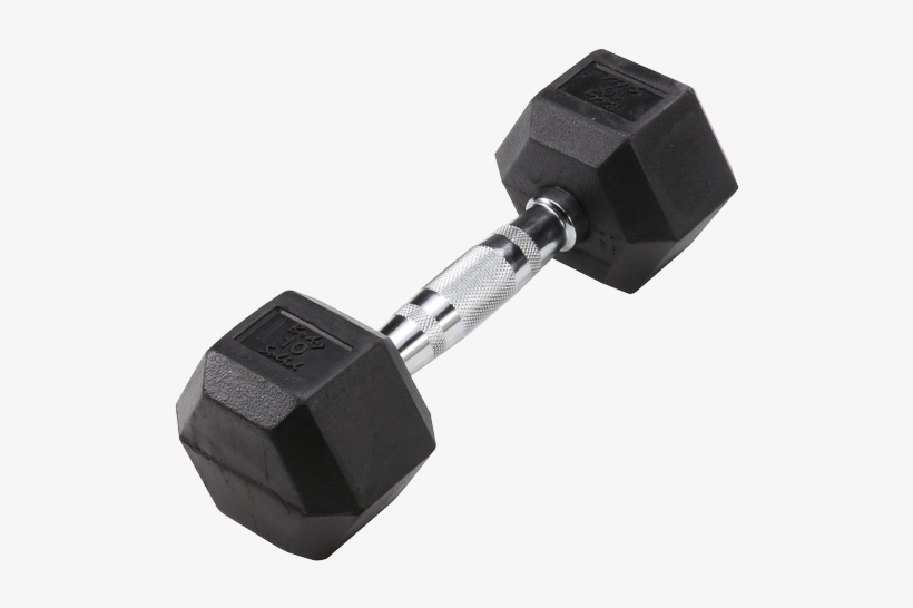 Privacy Policy - Body Solid Sdr, transparent png download