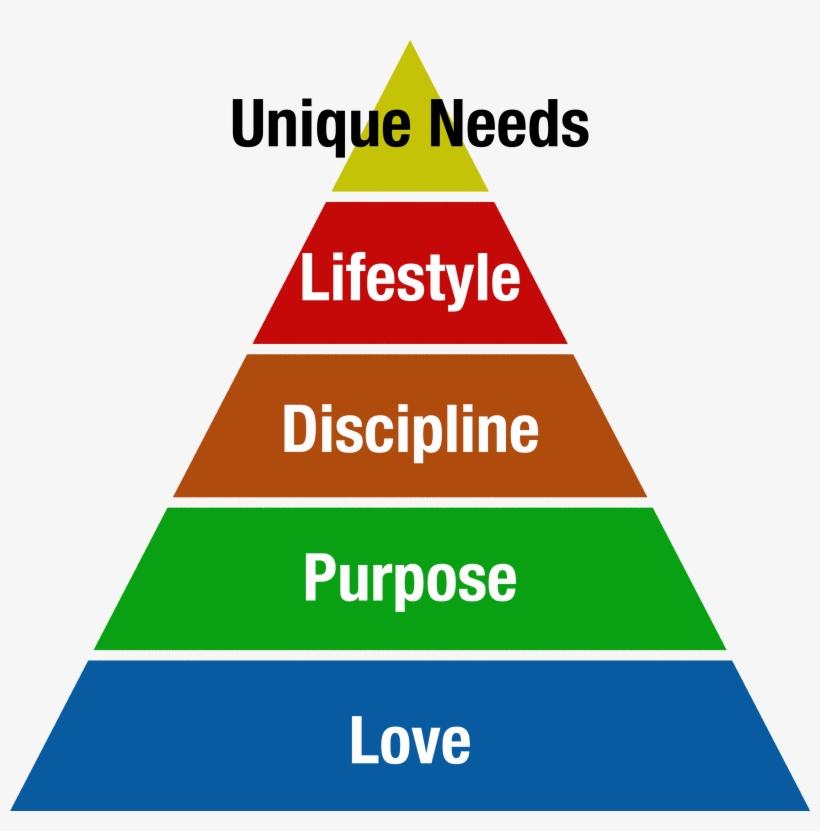 Rakowski Life Pyramid - Krathwohl's Taxonomy, transparent png download