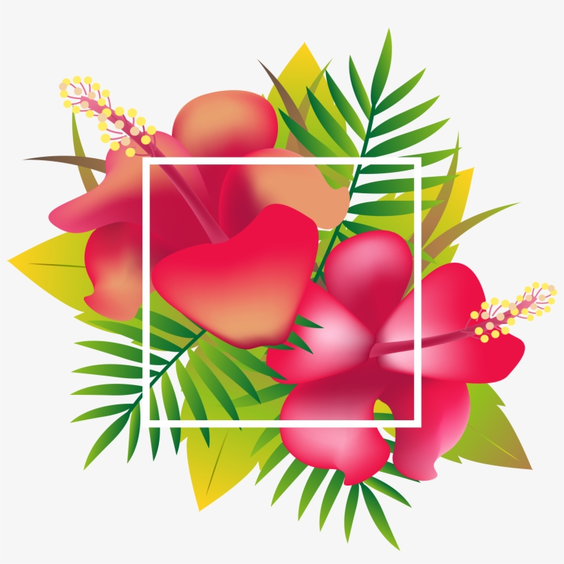 Header Floral Design Tropics - Tropical Leaves Header Png, transparent png download