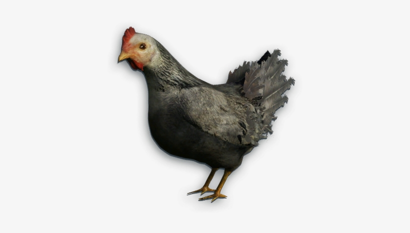 Black Chicken Png - Far Cry 3, transparent png download
