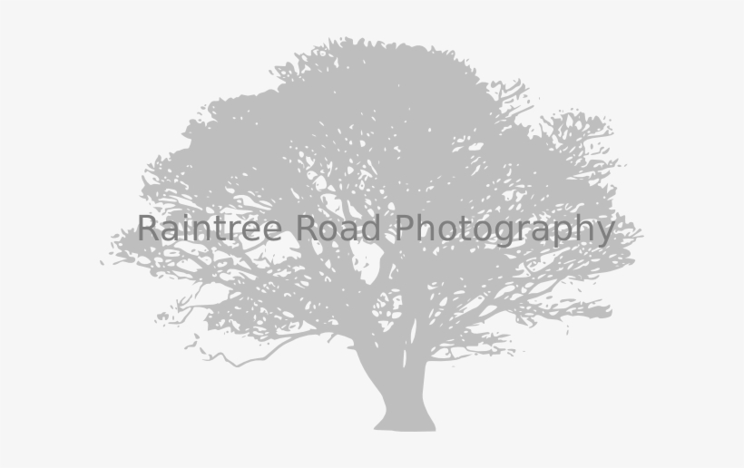 How To Set Use African Tree Clipart, transparent png download