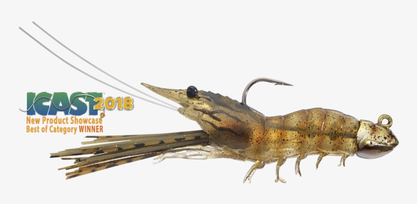 Shrimp - Icast, transparent png download