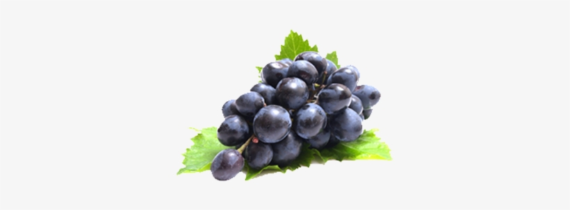 Grapes - Topco Sales Liquid Sex Tingling Gel For Her Grape Flavored, transparent png download