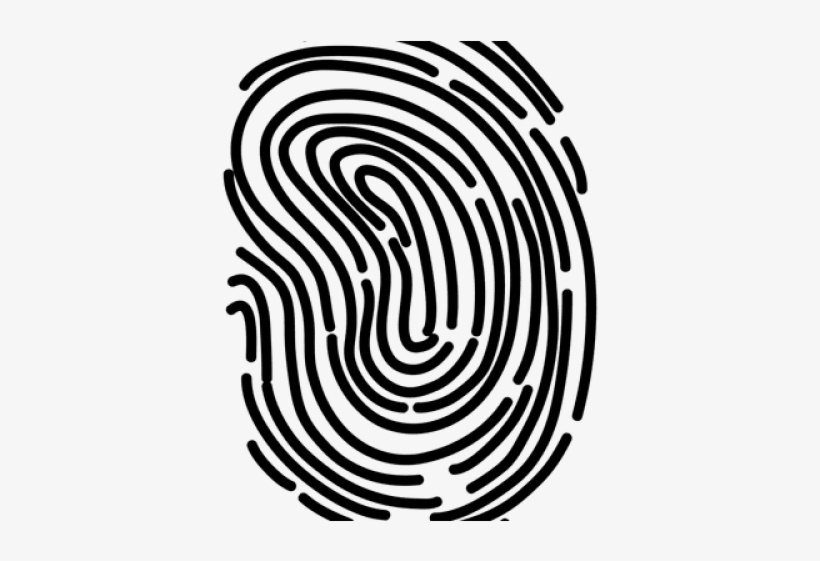 Fingerprint Png Transparent Images - Fingerprint, transparent png download