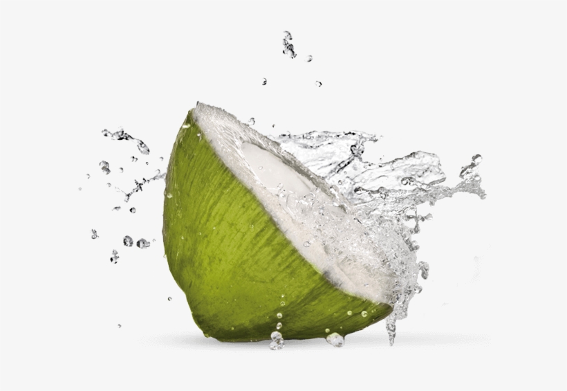 Source - - Coconut With Water Png, transparent png download