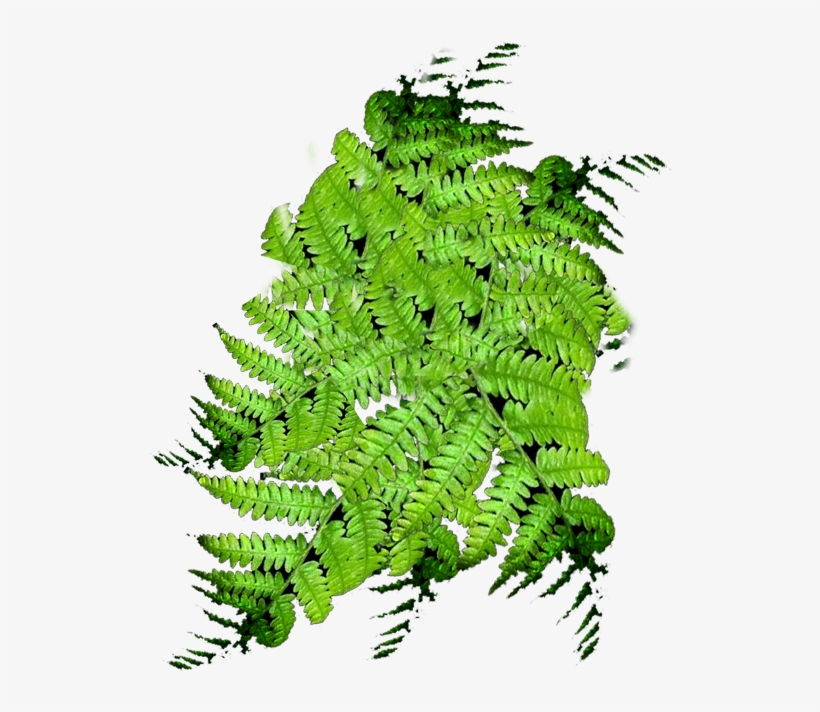 Slothybirthday -, transparent png download