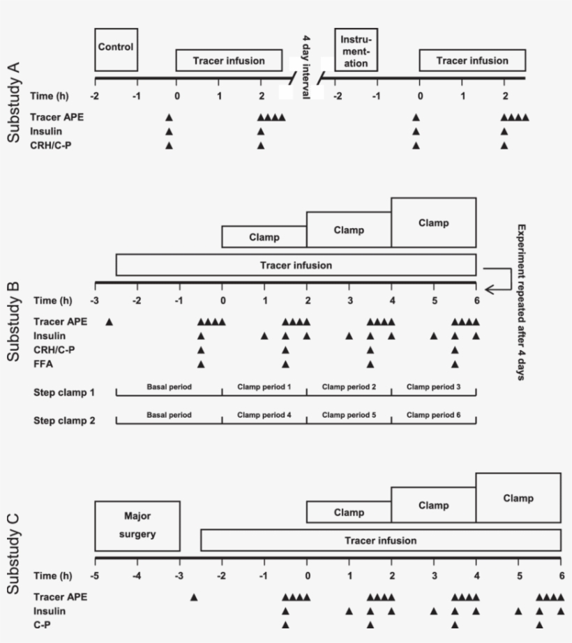 Control, Anesthesia Only - Diagram, transparent png download