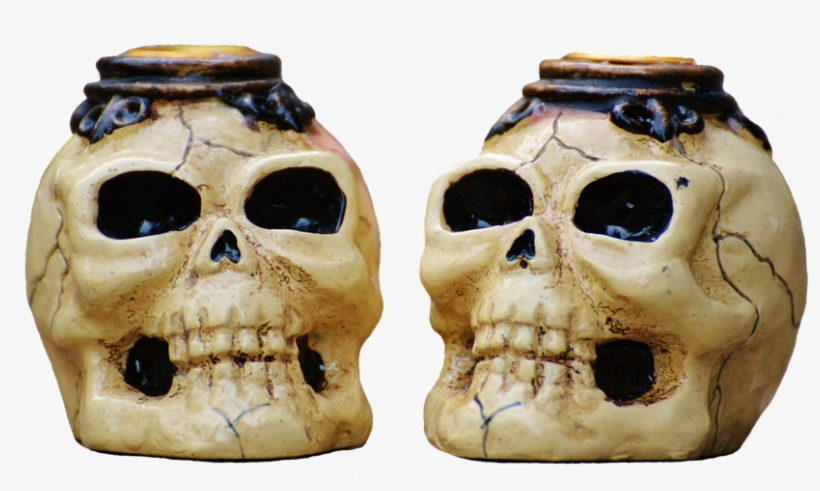 Skull And Bone,weird,scary - Skull, transparent png download