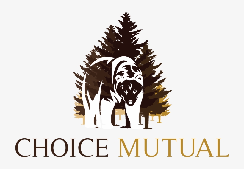 Choice Mutual Logo - Choice Mutual, transparent png download