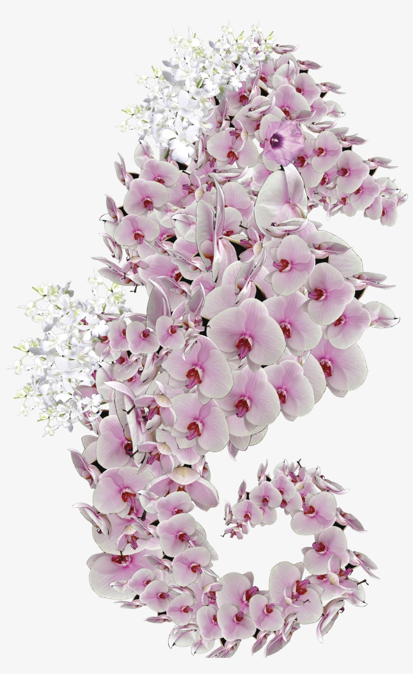 57 Am 3607068 Luigi 11/29/2012 - Bouquet, transparent png download