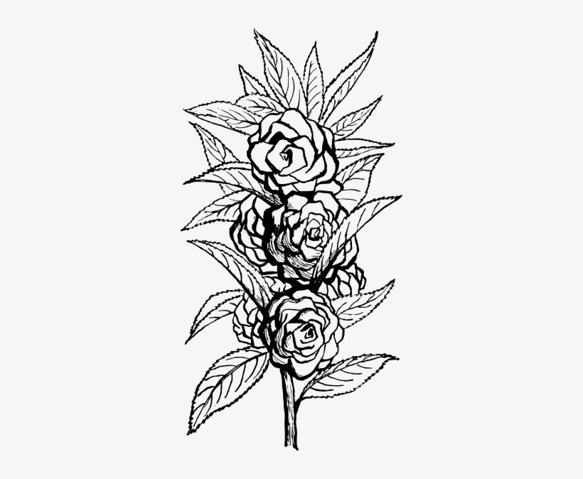 Black And White Floral Svg Clip Arts 312 X 594 Px, transparent png download