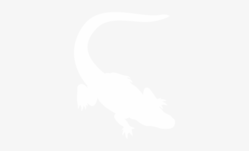 34 Am 16437 Checkup 12/9/2015 - Primary School, transparent png download