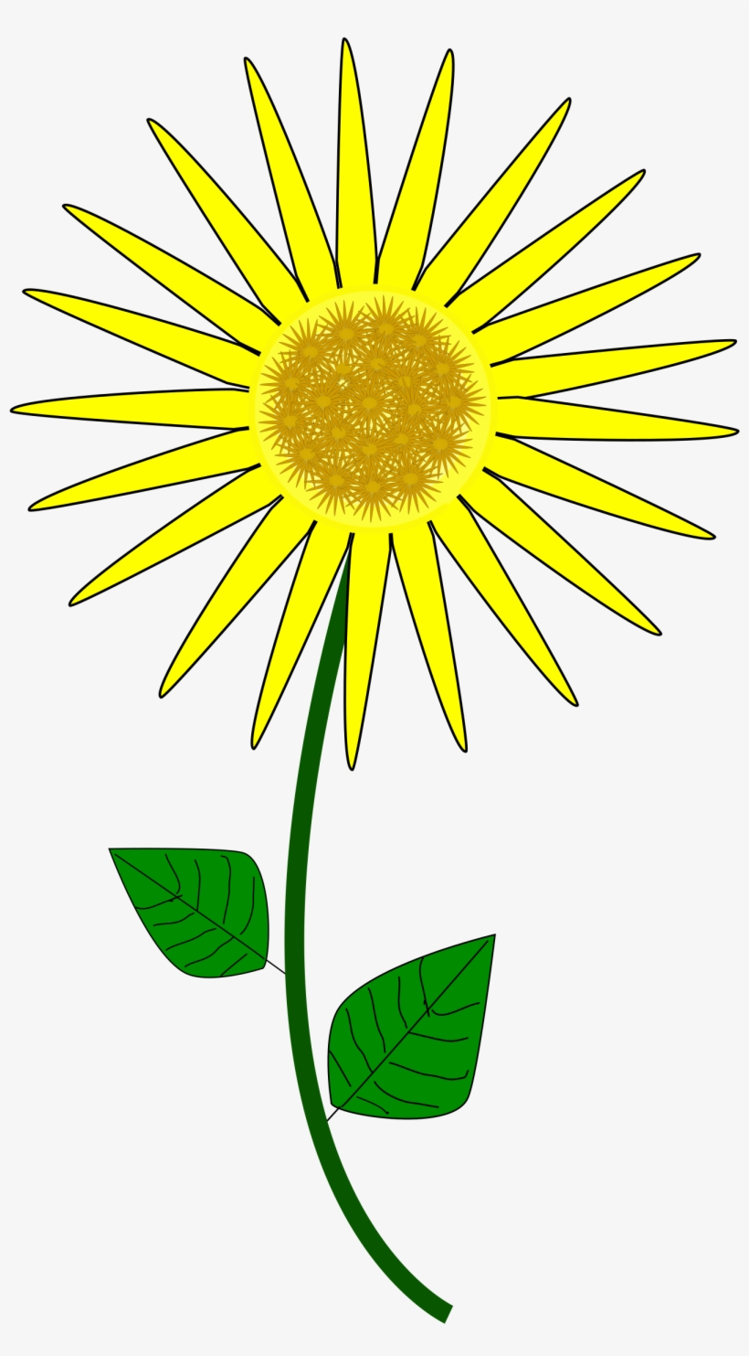 This Free Icons Png Design Of Flower, Sunflower, transparent png download