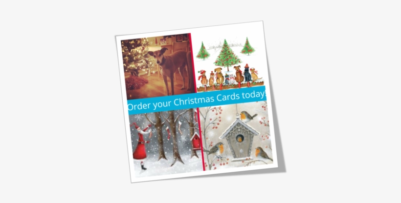 If You Like To Send Out Cards To Your Friends And Family, - Christmas Day, transparent png download