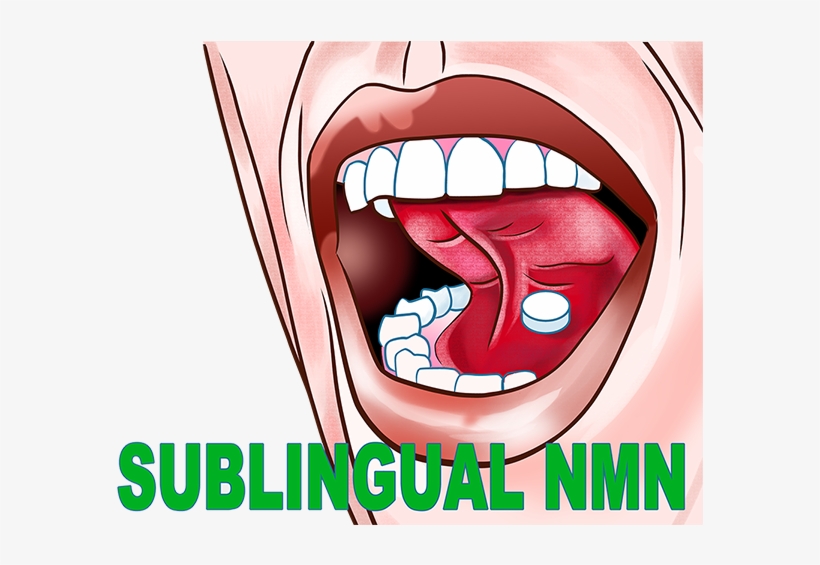 Increased Bioavailability - Sublingual, transparent png download