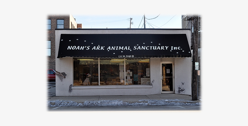 Noah's Ark Animal Sanctuary - Noah's Ark Rockford, transparent png download