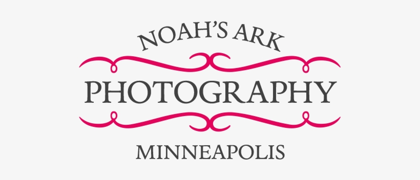 Noah's Ark Photography Best Minneapolis Minnesota Based - Cemetery, transparent png download
