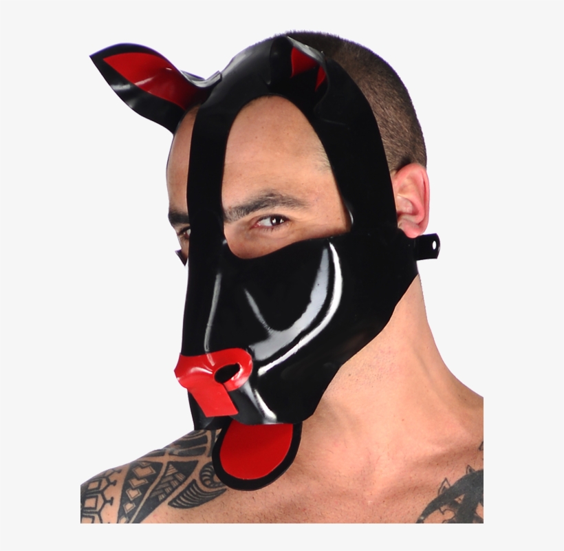 This Head Harness Features Pointed Ears And An Adjustable - Dog, transparent png download