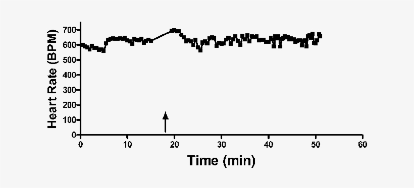 Png Royalty Free Stock Inhibition Of Rad Induced - Diagram, transparent png download