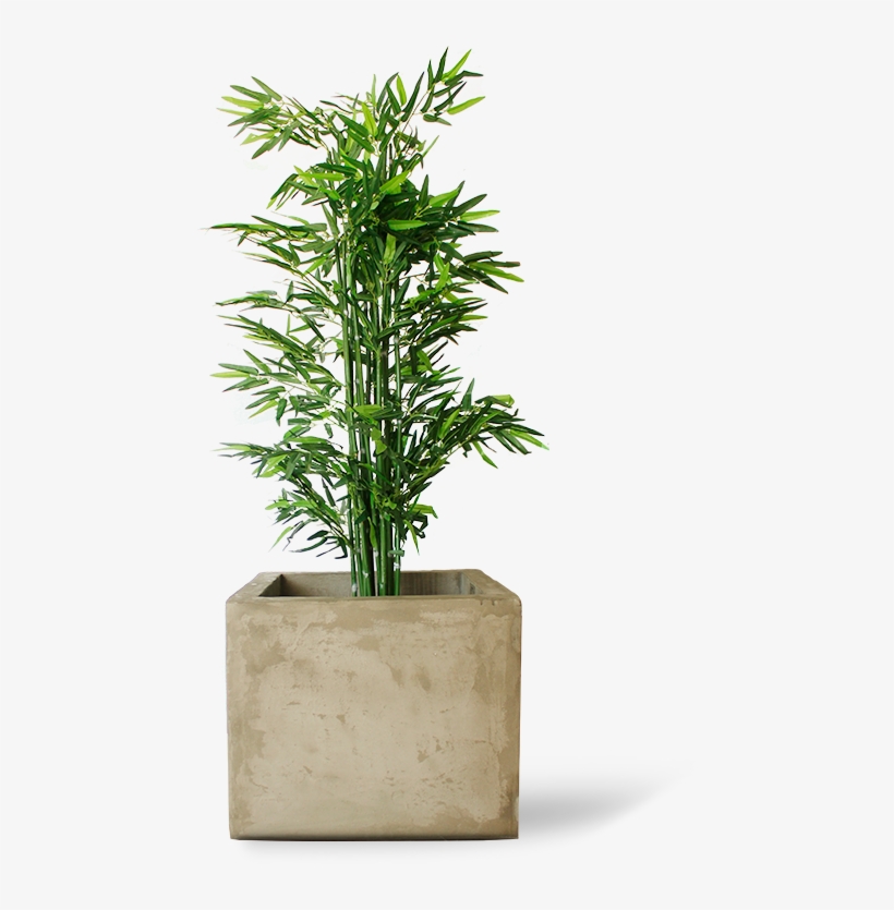 Related Wallpapers - Flowerpot, transparent png download