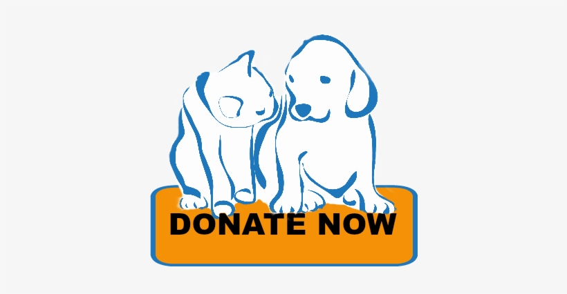 Donate - Donation, transparent png download