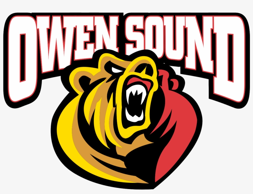 Owen Sound Attack Logo, transparent png download
