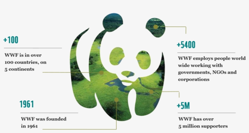 Wwf Pic Ori - World Wide Fund For Nature, transparent png download