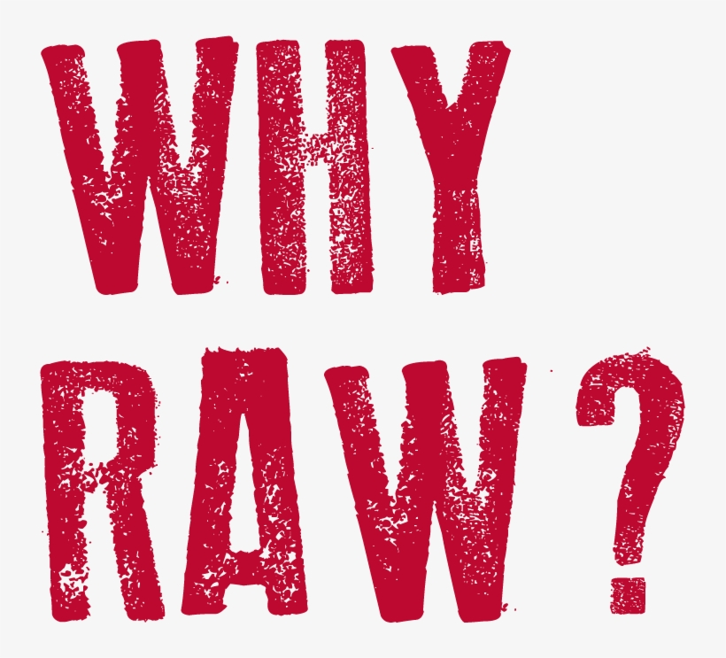 Food For Thought - Lawless Movie Wall Print Poster Decor 32x24, transparent png download