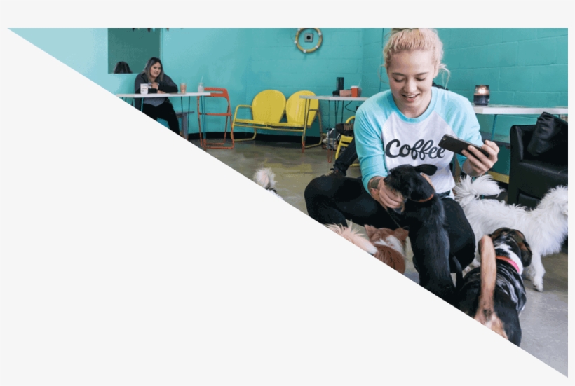 Be Seen Where Everyone Is Watching - Toddler, transparent png download