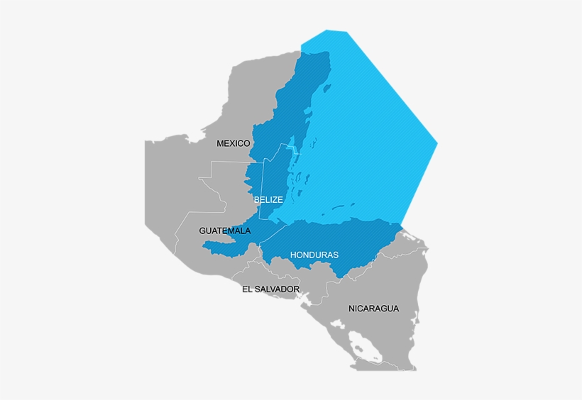 Wwf Guatemala - Costa Rica, transparent png download