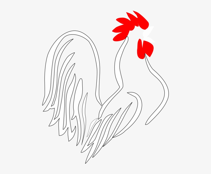 Rooster, transparent png download