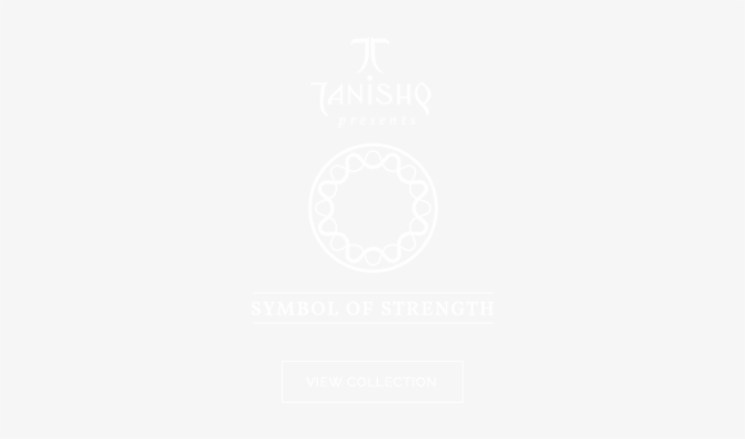 View Collectionview Collection - Twitter White Icon Png, transparent png download