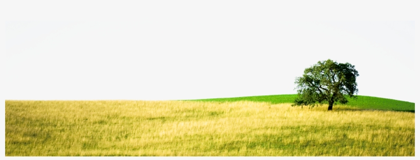 Ground - Just Beyond That Golden Door, transparent png download