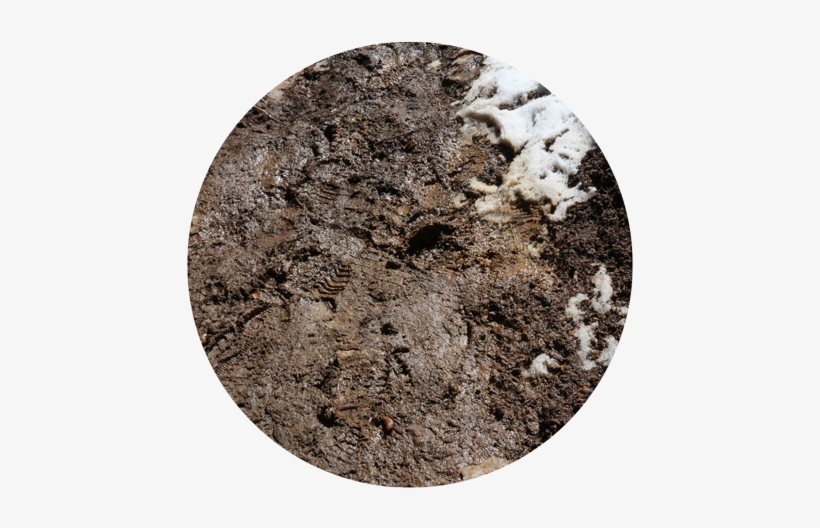 Ice, Wet Trail, Wet Grass, Small Gravel On The Ground - Snow, transparent png download