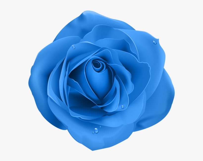 0, - Purple Rose Transparent, transparent png download