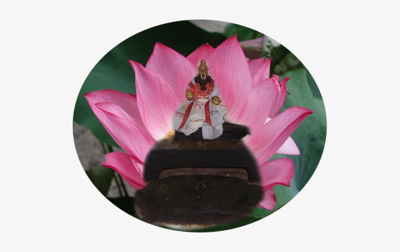 Imaginary View Of Swami In The Banks Of River Cauvery - Pink Color Things In Nature, transparent png download