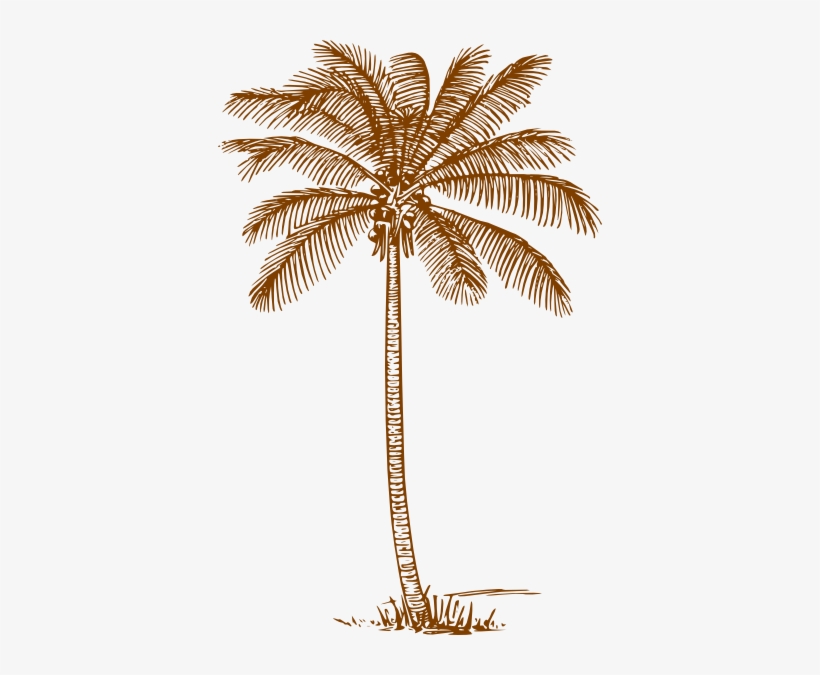Original Png Clip Art File Palm Tree Svg Images Downloading, transparent png download