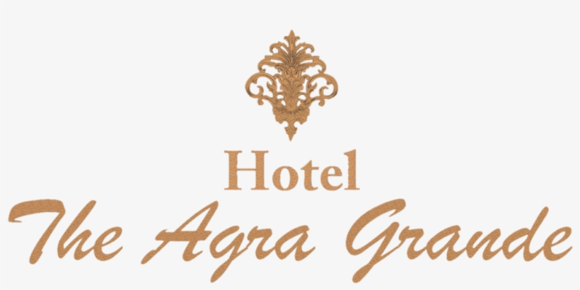 Png Logo - Emily Stillman Foundation Logo, transparent png download