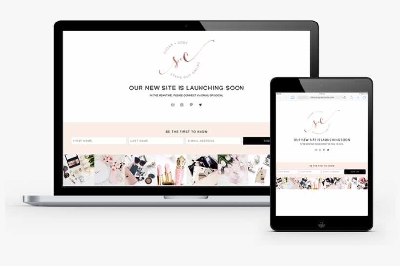 Wordpress, transparent png download