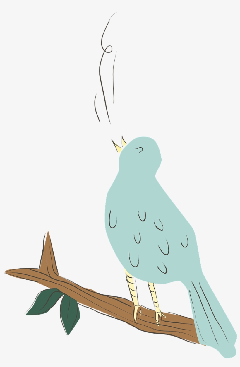 Parrot Clipart Public Domain - Personalised Bird Nerd Tote, transparent png download